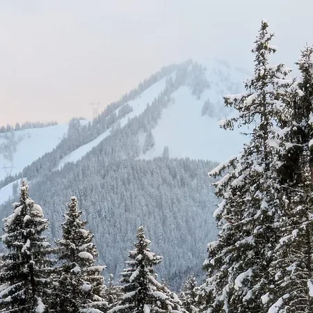 Les Portes Du Soleil 아파트 Le Biot